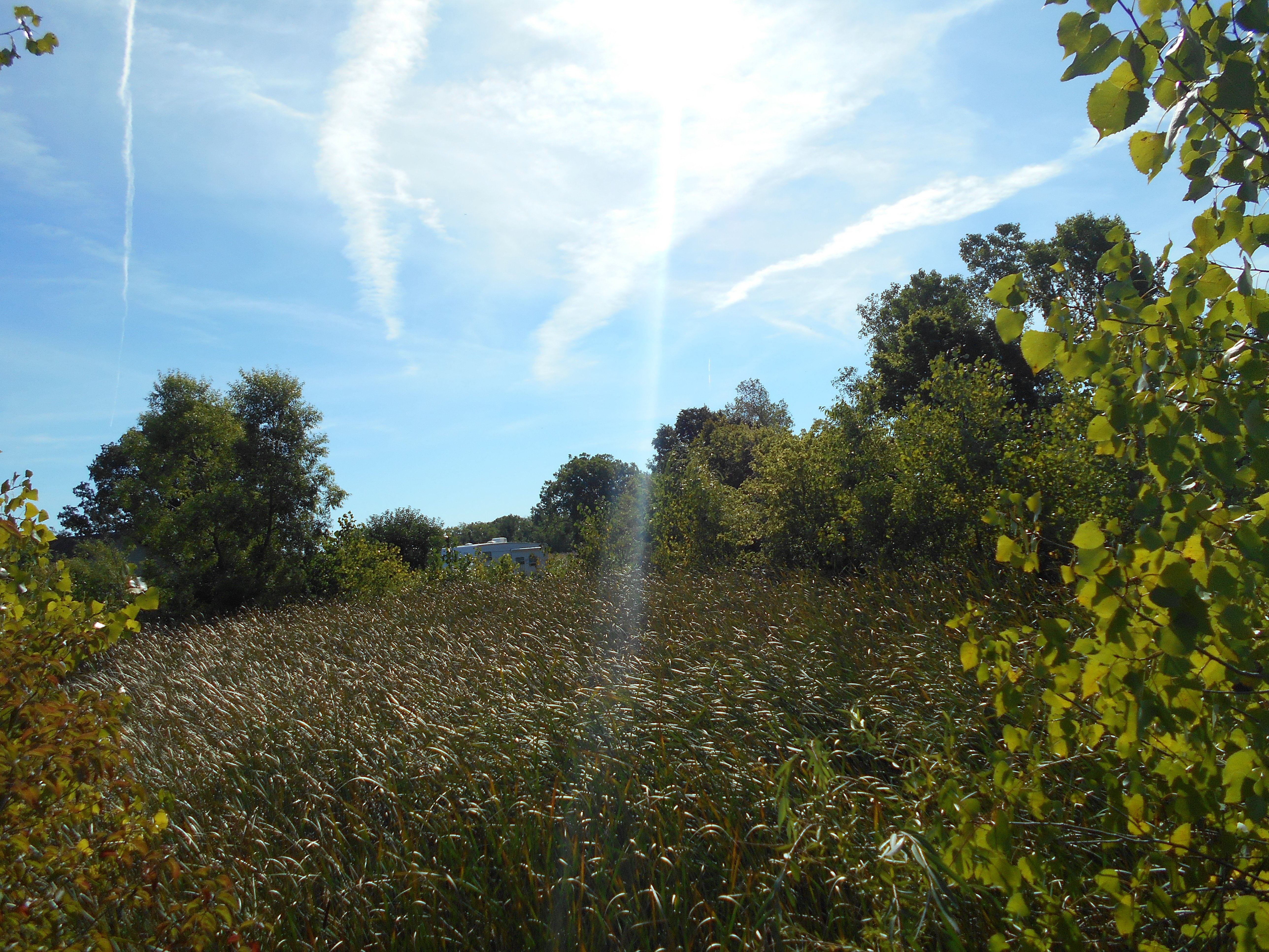 Carleton, MI Clean Out